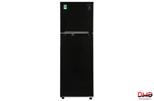 Tủ lạnh Samsung Inverter 256 lít RT25M4032BU/SV
