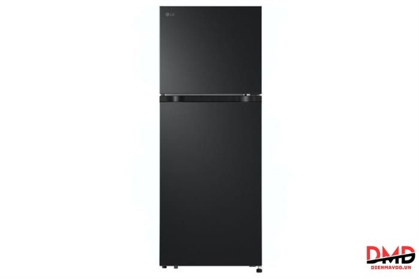 Tủ lạnh LG Inverter 217 lít LTB21BLMI