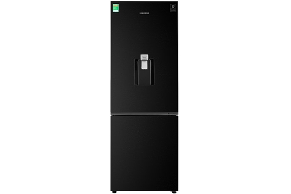 Tủ lạnh Samsung Inverter 307 lít RB30N4170BU/SV