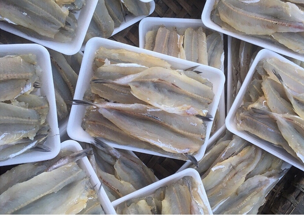 Cá Mối Một Nắng