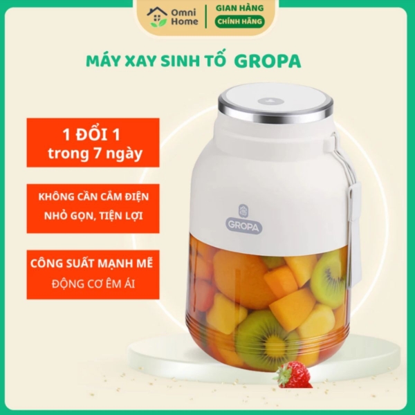 Máy Xay Sinh Tố Cầm Tay GROPA