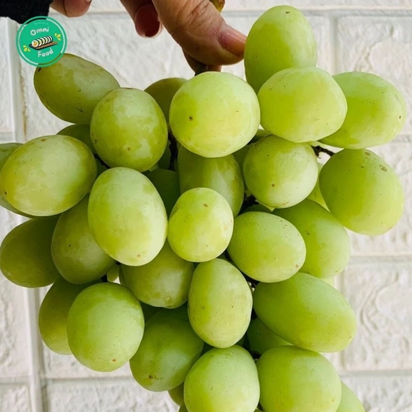 Nho Xanh Úc Autumn Crisp – Giòn Rụm, Ngọt Thanh, Siêu Tươi Ngon!