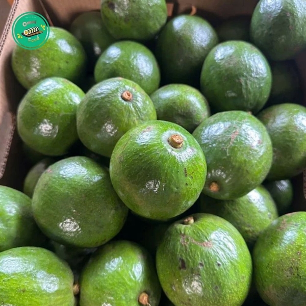 🥑 Bơ Sáp Tươi Ngon – Béo Mịn, Ngọt Thanh, Bổ Dưỡng