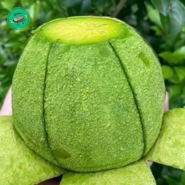 🥑 Bơ Sáp Tươi Ngon – Béo Mịn, Ngọt Thanh, Bổ Dưỡng