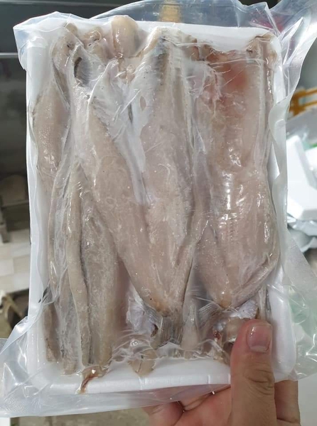 Cá Mối Một Nắng