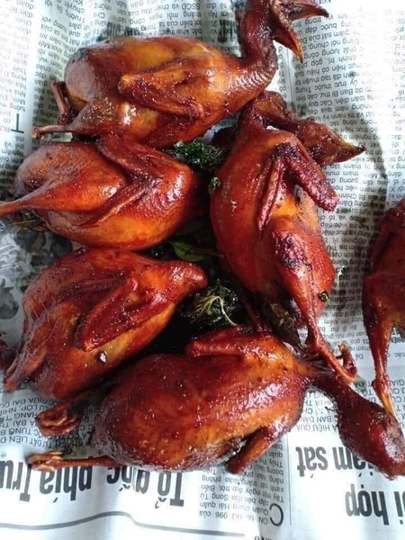 Chim Cút thịt loại to - Khay 10 con (700-900g/khay)