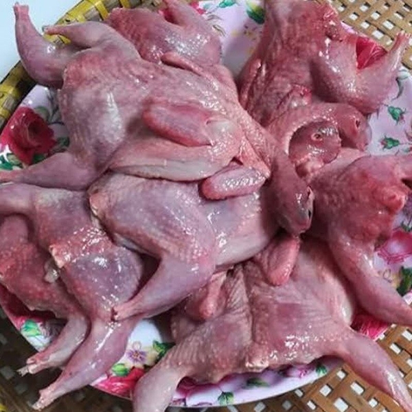 Chim Cút thịt loại to - Khay 10 con (700-900g/khay)