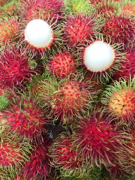 Chôm chôm Thái