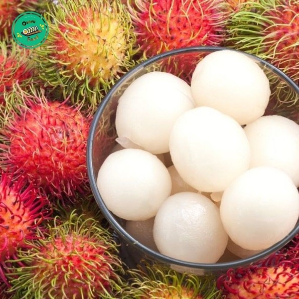 CHÔM CHÔM THÁI – TRÁI TO, CƠM DÀY, NGỌT GIÒN MÊ LY 🍒✨