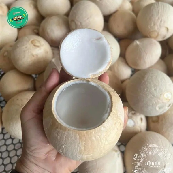 DỪA XIÊM GỌT TRỌC BẾN TRE (20 QUẢ) – NGỌT MÁT, TIỆN LỢI, GIAO TƯƠI MỖI NGÀY!