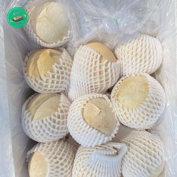 DỪA XIÊM GỌT TRỌC BẾN TRE (20 QUẢ) – NGỌT MÁT, TIỆN LỢI, GIAO TƯƠI MỖI NGÀY!