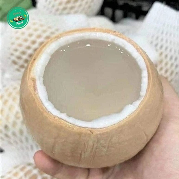 DỪA XIÊM GỌT TRỌC BẾN TRE (20 QUẢ) – NGỌT MÁT, TIỆN LỢI, GIAO TƯƠI MỖI NGÀY!