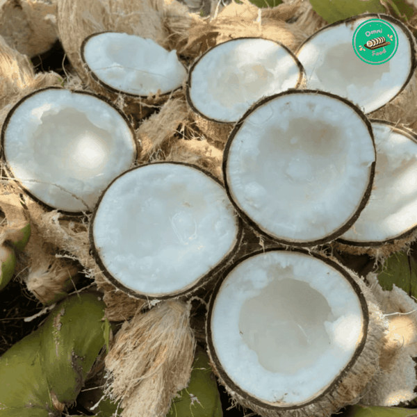 Dừa Sáp Trà Vinh – Đặc Sản Béo Dẻo, Hiếm & Ngon Khó Cưỡng