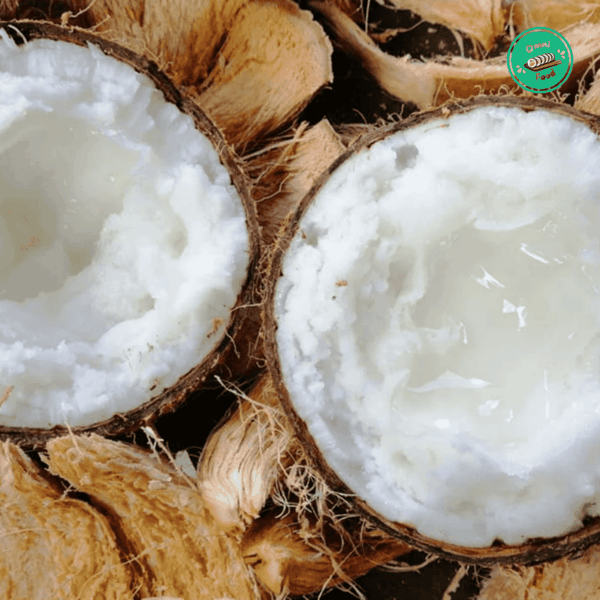 Dừa Sáp Trà Vinh – Đặc Sản Béo Dẻo, Hiếm & Ngon Khó Cưỡng