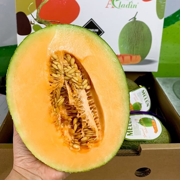Dưa lưới Đài Loan