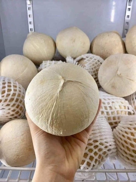 Dừa Xiêm gọt trọc Bến Tre (20 quả)