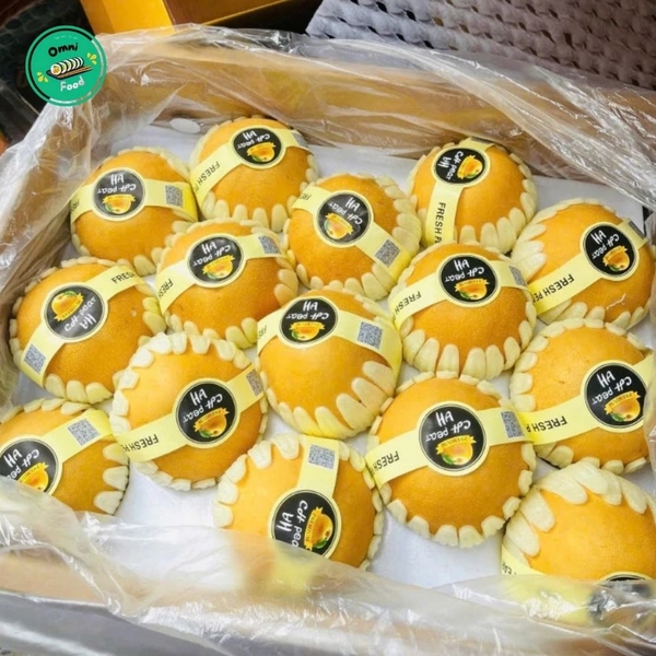 🍐 LÊ HÀN QUỐC PREMIUM – GIÒN TAN, NGỌT THANH, TƯƠI NGON CHUẨN HÀNG TUYỂN LOẠI 1