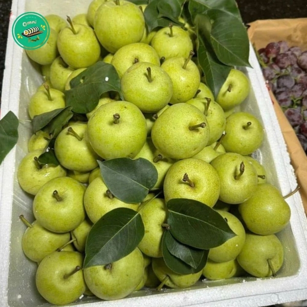 🍐 LÊ HÀN QUỐC PREMIUM – GIÒN TAN, NGỌT THANH, TƯƠI NGON CHUẨN HÀNG TUYỂN LOẠI 1