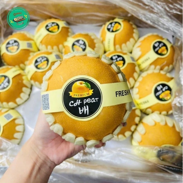 🍐 LÊ HÀN QUỐC PREMIUM – GIÒN TAN, NGỌT THANH, TƯƠI NGON CHUẨN HÀNG TUYỂN LOẠI 1