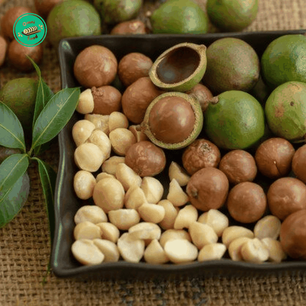 Hạt quả Macadamia Còn Vỏ Nuts Organic Hộp 500g