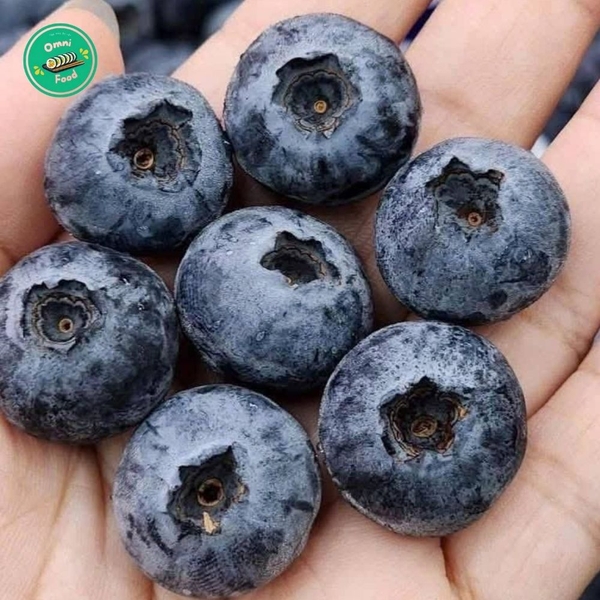 🫐 Việt Quất Tươi Ngon – Chống Oxy Hóa, Bổ Dưỡng, Tươi Mát