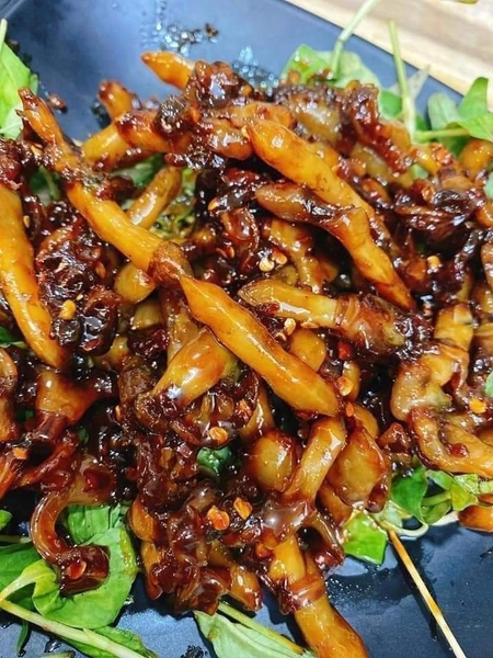Ruột Ốc Móng Tay To