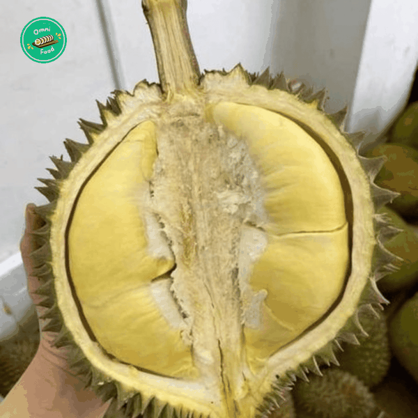 Sầu Riêng Thái – Cơm Vàng Dày, Béo Thơm Chuẩn Vị