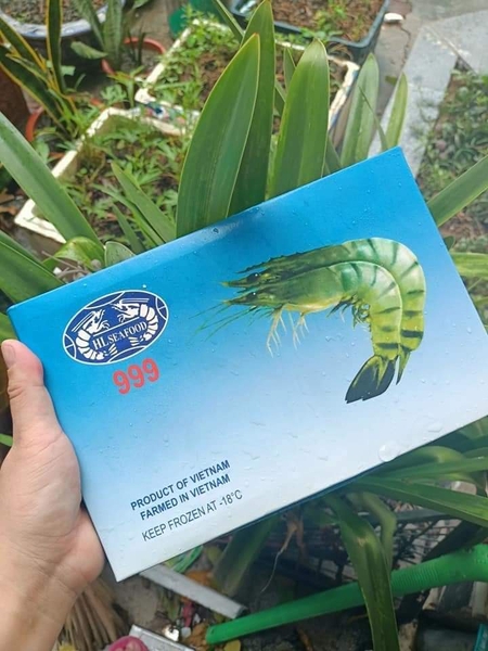 Tôm Sú Biển Xuất Khẩu