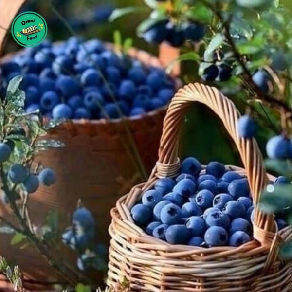 🫐 Việt Quất Tươi Ngon – Chống Oxy Hóa, Bổ Dưỡng, Tươi Mát