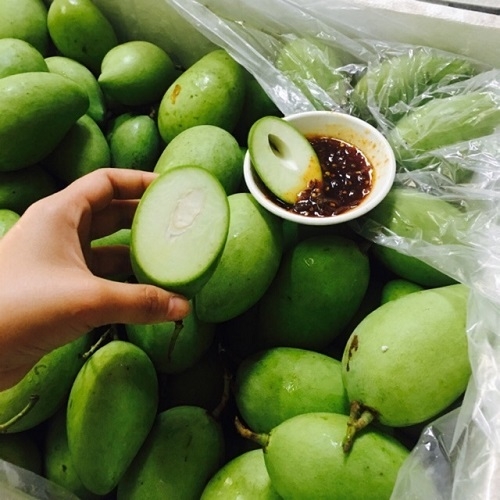 Xoài bao tử