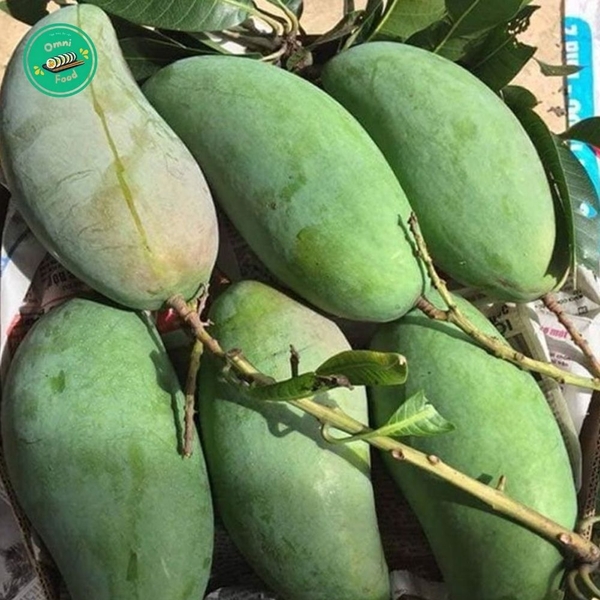 XOÀI ĐÀI LOAN – GIÒN THANH, NGỌT DỊU, ĂN LÀ “GHIỀN”