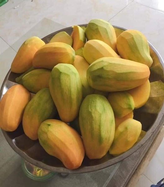 Xoài hạt lép