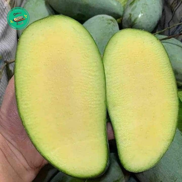 XOÀI HẠT LÉP – NGỌT THANH ĐỘC ĐÁO, ĂN ĐÃ MIỆNG, HẦU NHƯ KHÔNG CÓ HẠT