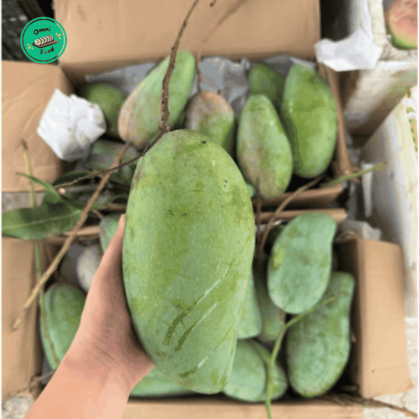 Xoài Nha Trang – Thơm Ngọt Tự Nhiên, Đậm Vị Miền Biển