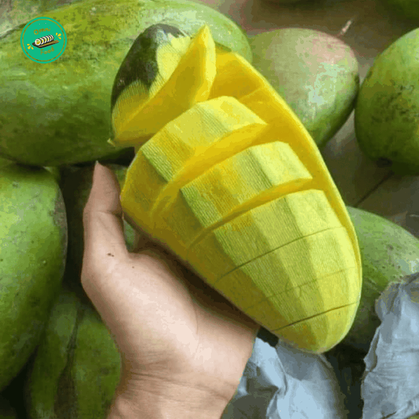 Xoài Nha Trang – Thơm Ngọt Tự Nhiên, Đậm Vị Miền Biển