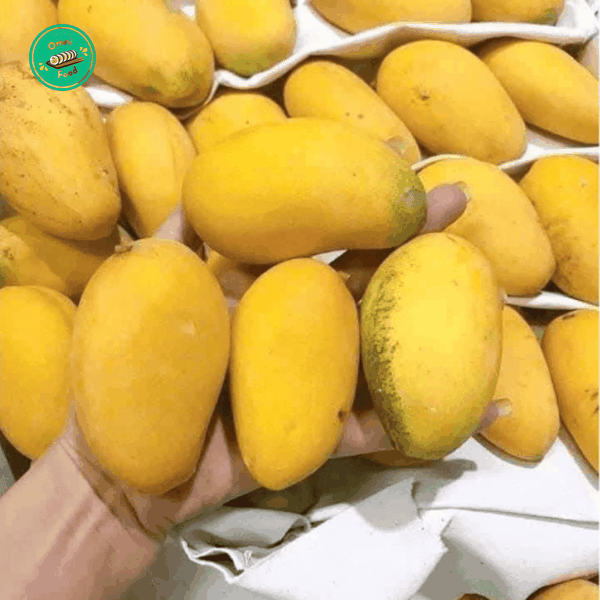 Xoài Nha Trang – Thơm Ngọt Tự Nhiên, Đậm Vị Miền Biển