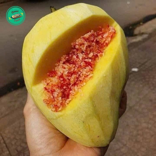 Xoài Tứ Quý – Ngọt Thanh, Giòn Tan, Hương Vị Đặc Trưng