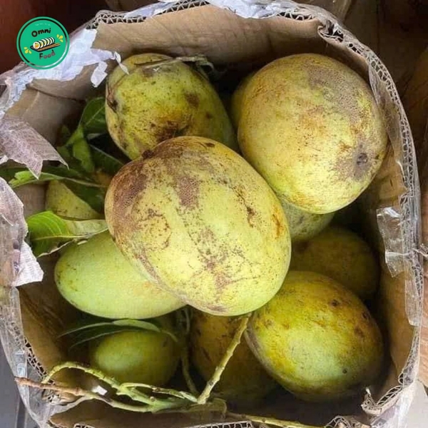 Xoài Tứ Quý – Ngọt Thanh, Giòn Tan, Hương Vị Đặc Trưng