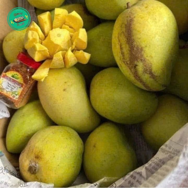 Xoài Tứ Quý – Ngọt Thanh, Giòn Tan, Hương Vị Đặc Trưng