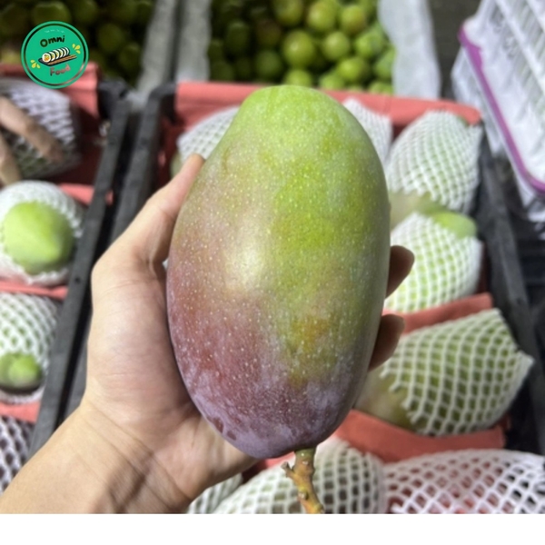 Xoài Úc – Ngọt Thanh, Giòn Tan, Tươi Ngon Mỗi Ngày!