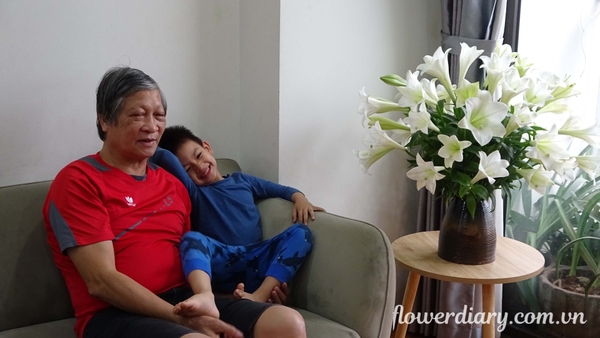 Nhật ký hoa: Hoa loa kèn/ bách hợp