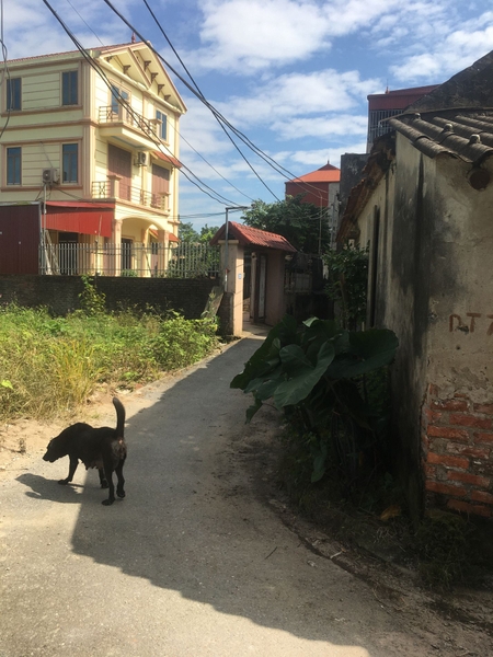 BÁN ĐẤT LÔ GÓC ĐẸP 142.6M² - MẶT TIỀN SIÊU RỘNG 21M - XÃ ĐA TỐN, GIA LÂM - 10.695 TỶ