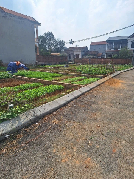 BÁN ĐẤT 112M² - THÔN KHOANG SAU, SƠN ĐÔNG - Ô TÔ TRÁNH - GẦN QL21A - GIÁ ĐẦU TƯ 2.3 TỶ