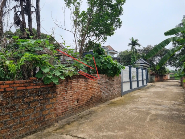 BÁN ĐẤT NỀN 133M² - THÔN TRẠI HỒ, CỔ ĐÔNG - SƠN TÂY - MẶT TIỀN 5M - 2.65 TỶ