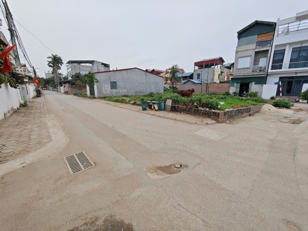 BÁN ĐẤT KINH DOANH 182M² - THÔN ĐẠI QUANG, SƠN ĐÔNG - MẶT ĐƯỜNG NHỰA 10M - GIÁ 8.9 TỶ