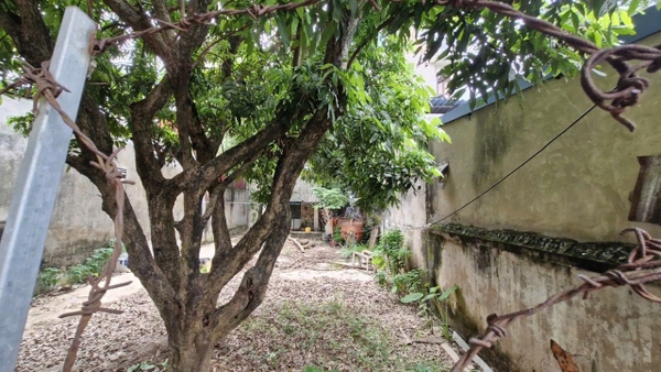 BÁN ĐẤT VƯỜN 704M² - XÃ XUÂN SƠN - MẶT ĐƯỜNG NHỰA 8M - Ô TÔ NGỦ TRONG ĐẤT - 5 TỶ