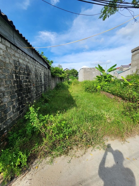 BÁN ĐẤT THỔ CƯ 85M² - SỔ HỒNG 2025 - NGÕ Ô TÔ - PHÚ HẠ, KIM ANH, SÓC SƠN - 1.8 TỶ