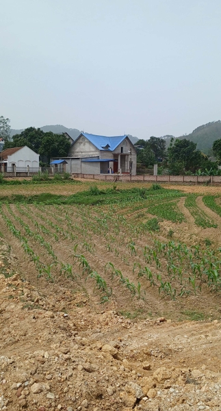 BÁN ĐẤT THỔ CƯ LÔ GÓC VIEW HỒ - 2500M² - THÔN LƯƠNG ĐÌNH, XÃ BẮC HẠ, SÓC SƠN - 11 TỶ