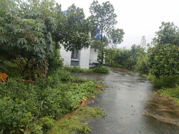 BÁN NHÀ VƯỜN Ở & ĐẦU TƯ - 2 XÓM ĐỒI, PHÚ HỮU, KIM ANH - 10.9 TỶ