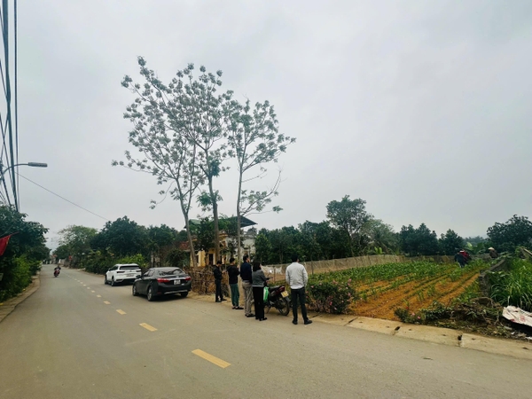 Bán đất 303m² mặt tiền 10m sát chợ Mộc Minh Quang – Giá chỉ 2,x tỷ